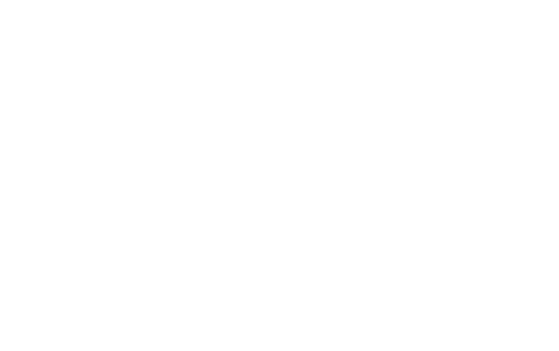 DSL.png