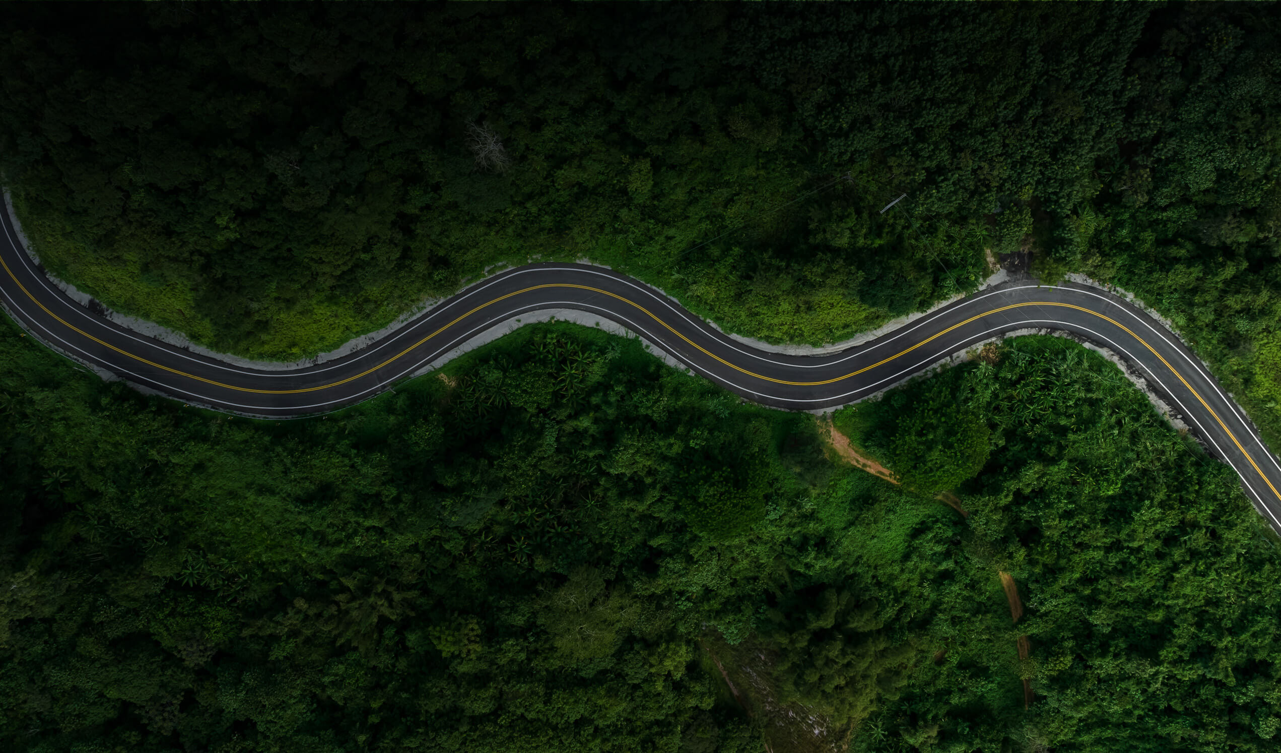 Header Image A