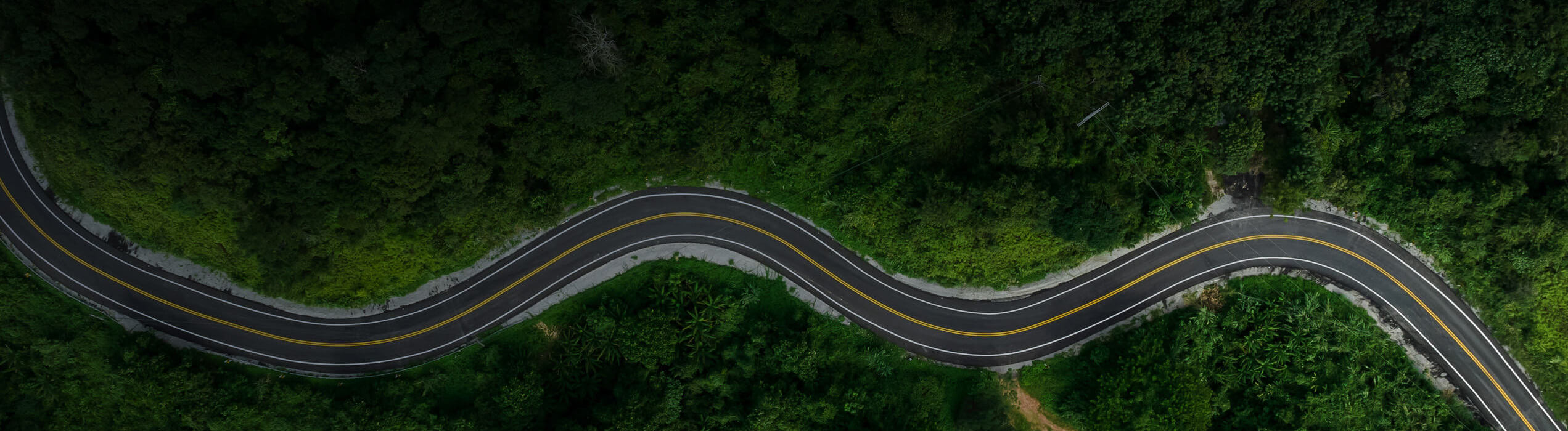 Header Image A
