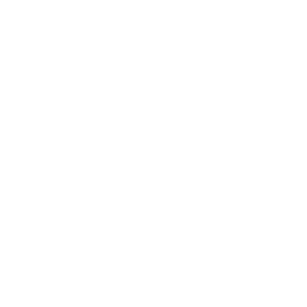 Evo.png