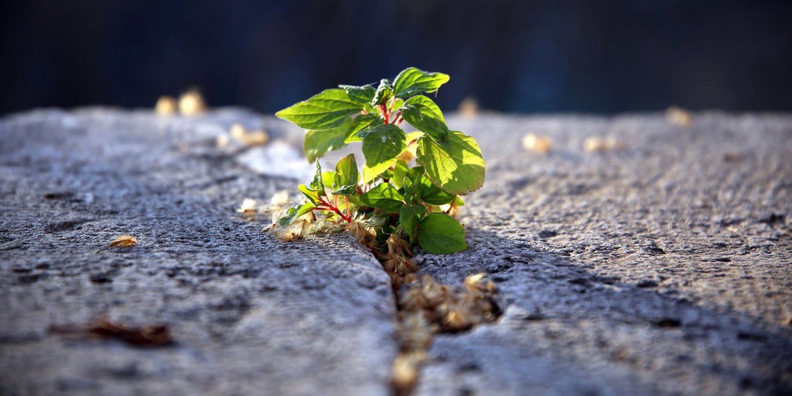 Csm Blog Resilience 1D86514423