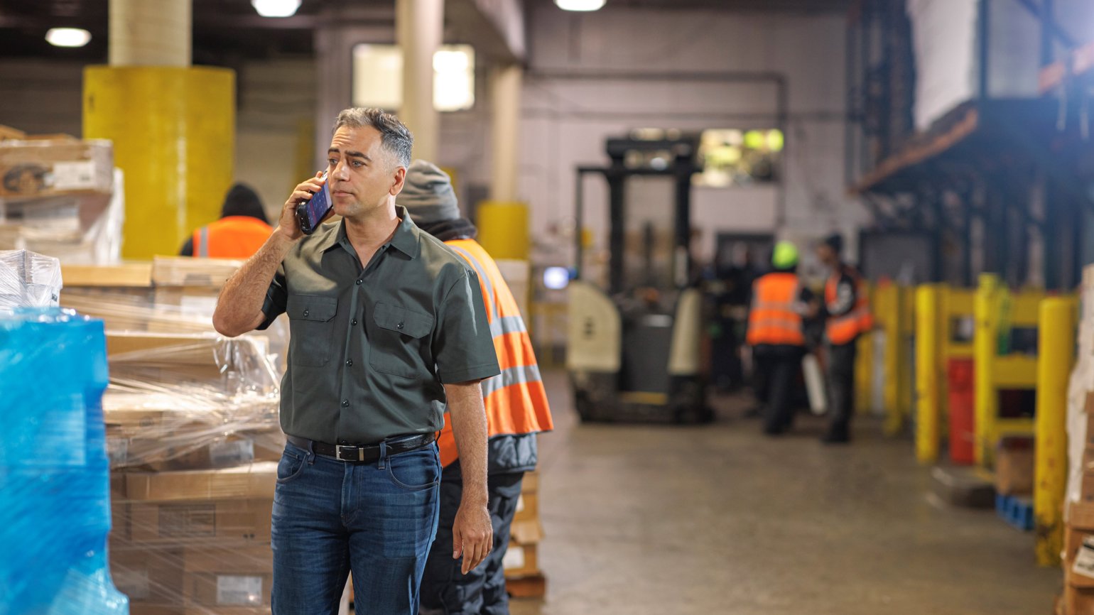 Koerber Voice Validation