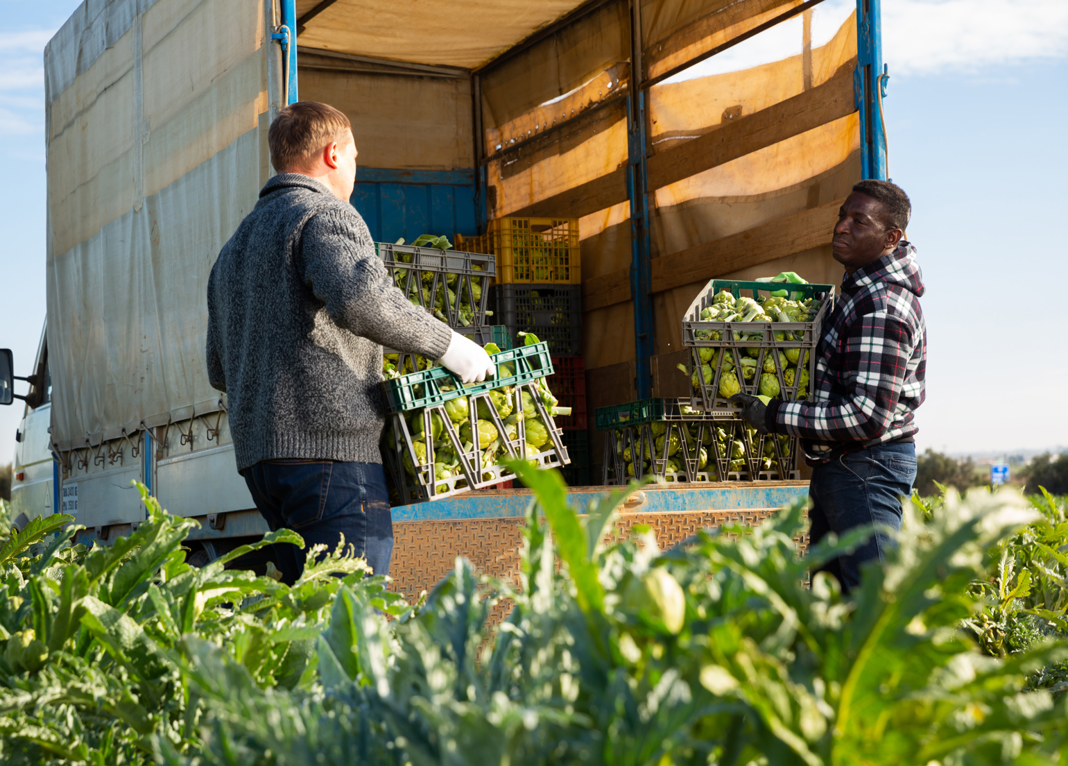 Navigate Fresh Logistics During Produce Peak Season