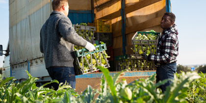 Navigate Fresh Logistics During Produce Peak Season