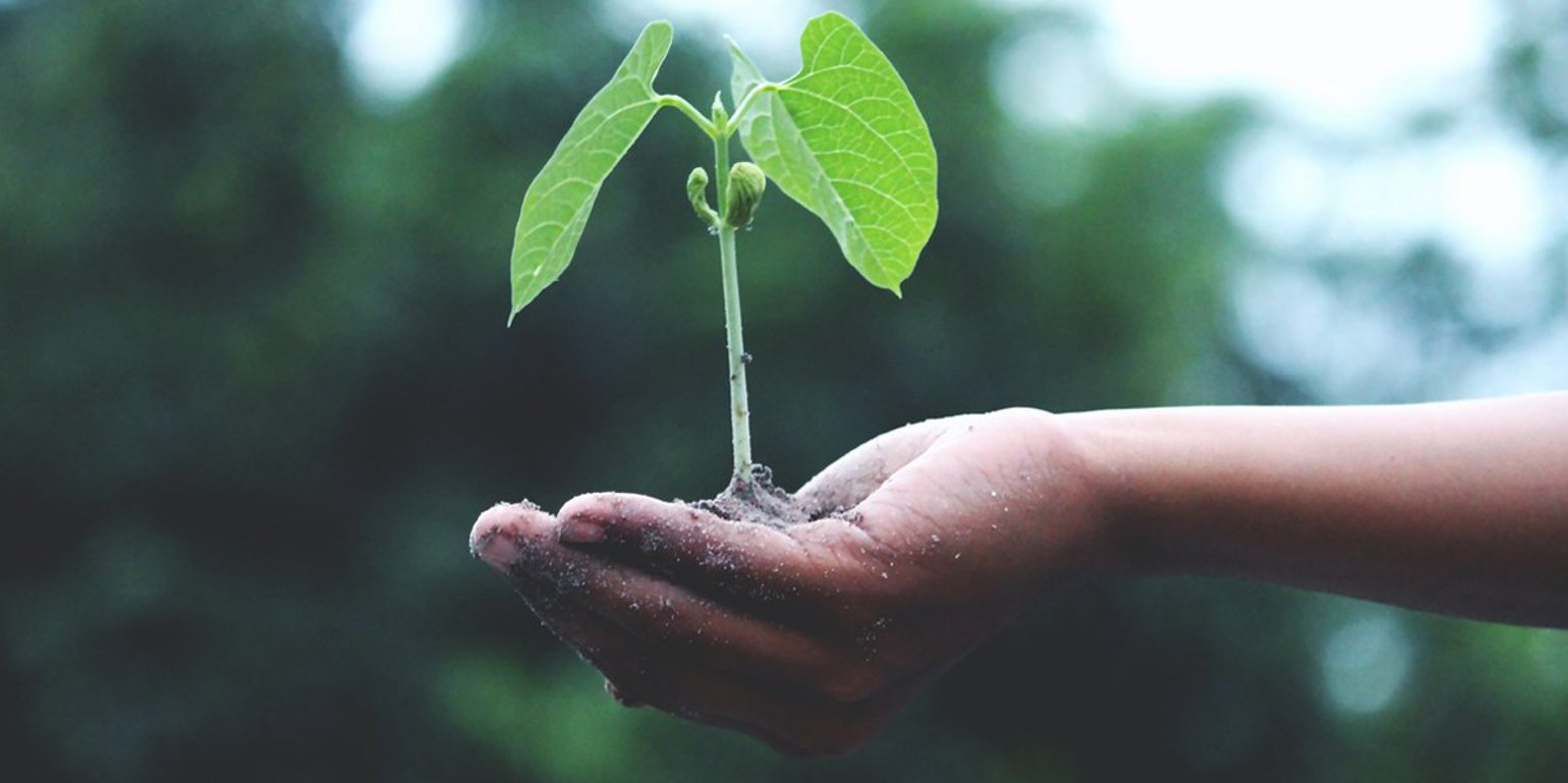 Csm Considering Sustainability In The Supply Chain Blog Cb63044423
