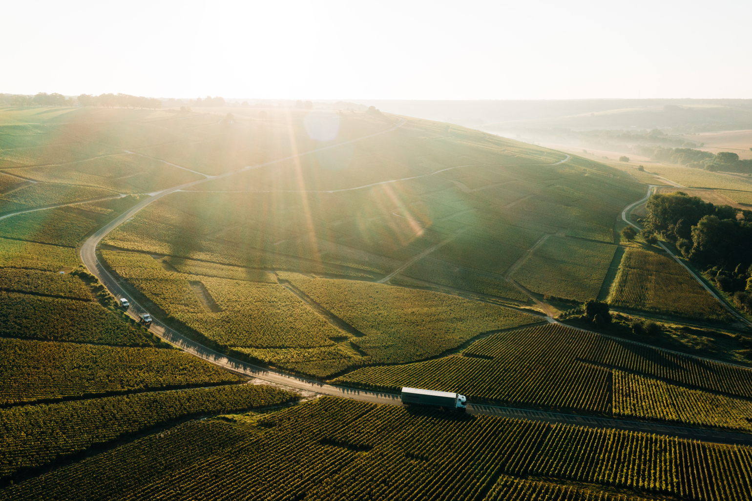 Gettyimages 1345561201