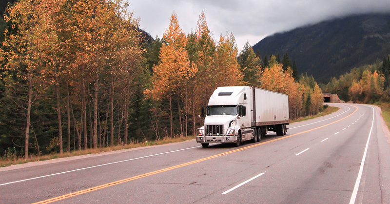 Infios Resources 2162447876 Body