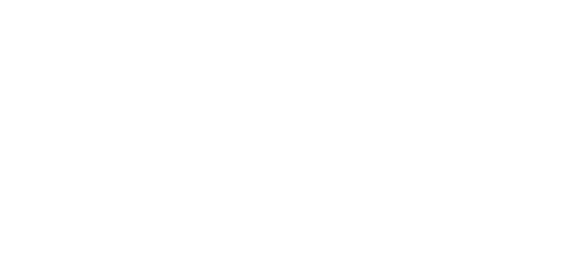 VilleroyBoch.png