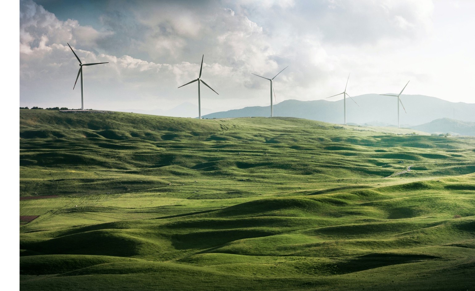 Sustainability