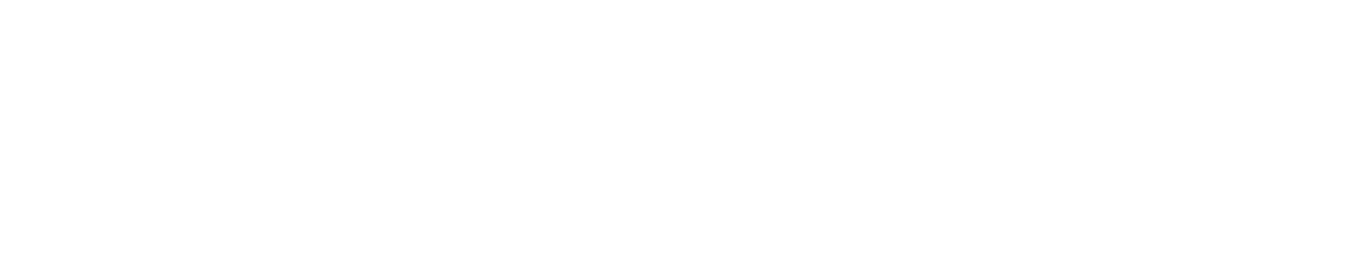 FleetFeet.png